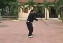 Độc lư thương