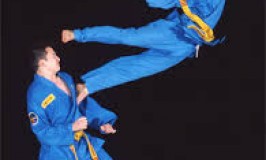 Đặc trưng cơ bản của vovinam