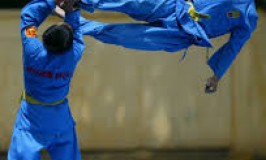 Vovinam trên đường quốc tế hóa: Giấc mơ lớn của võ Việt!