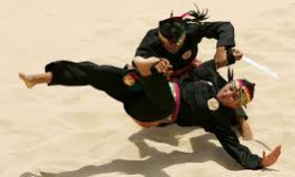 Giới thiệu bộ môn Pencak Silat