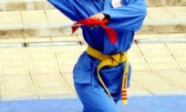 Vovinam trên đường quốc tế hóa